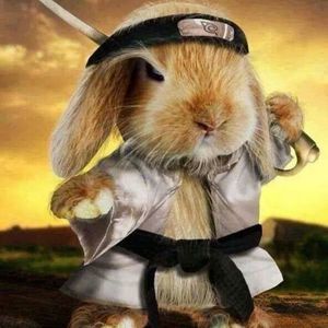 Meet your Posher, Louise